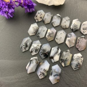 May include: A collection of 15 white and black dendritic agate cabochons, each with a unique pattern of black dendrites. The cabochons are shaped like elongated hexagons and are arranged in a loose pattern on a gray surface.