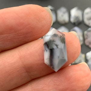 May include: A white and gray dendritic agate gemstone with a faceted, hexagonal shape. The gemstone is approximately 1 inch in length.