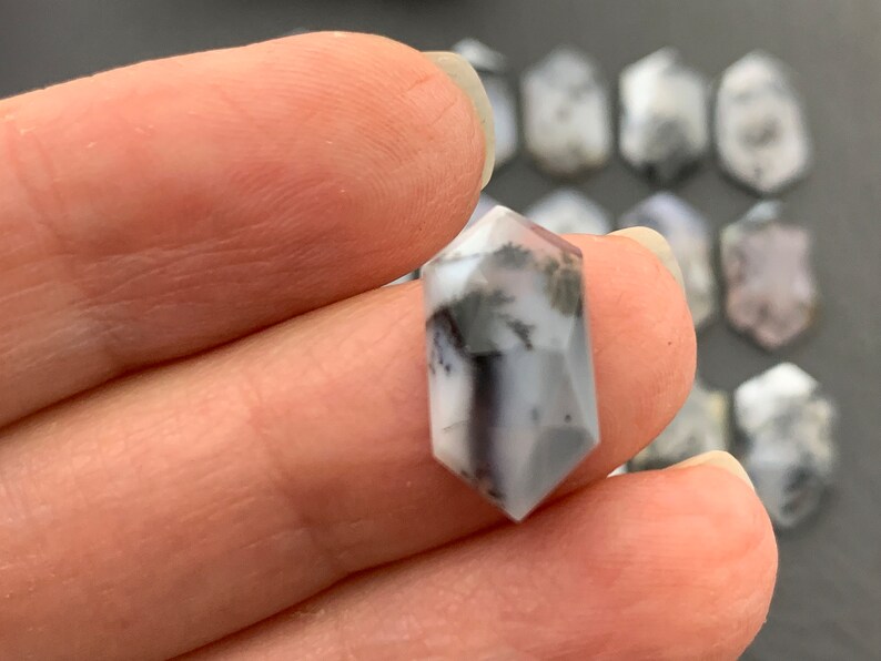 May include: A white and gray dendritic agate gemstone with a faceted, hexagonal shape. The gemstone is approximately 1 inch in length.