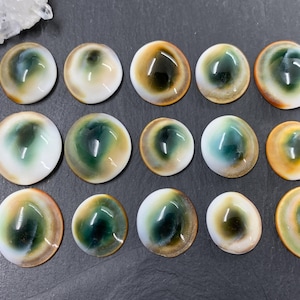 Pode incluir: Uma coleção de pedras preciosas ovais e polidas. Cada pedra apresenta uma área central verde escura ou preta, rodeada por uma borda creme, castanha e castanha. As pedras preciosas estão dispostas sobre uma superfície escura.