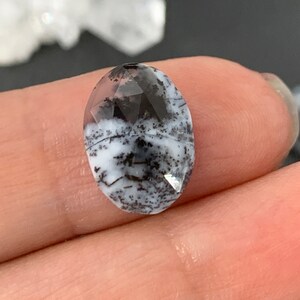 Op de afbeelding: Een witte en zwarte dendritische agaat cabochon met een gefacetteerde ovale vorm. De steen heeft een natuurlijk, organisch patroon van zwarte dendrieten op een witte achtergrond.
