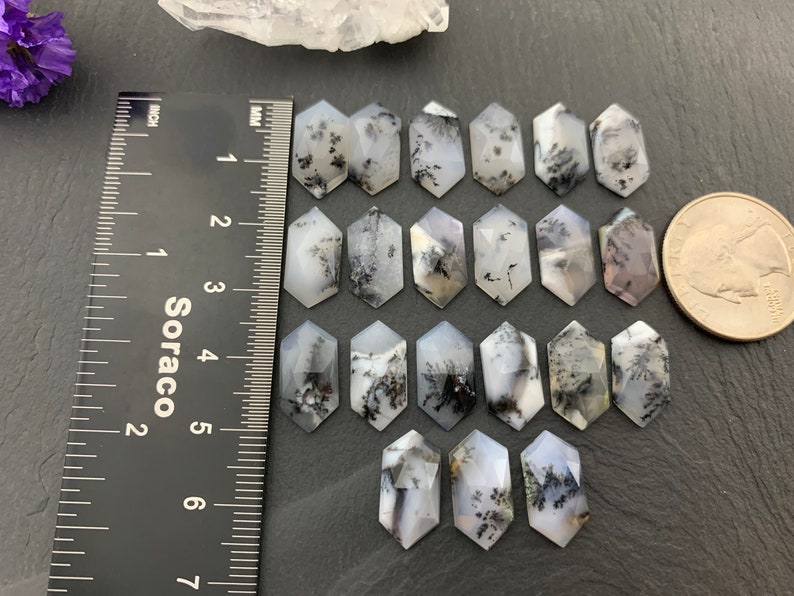May include: A collection of 15 white and black dendritic agate cabochons, each measuring approximately 1 inch in length. The cabochons are arranged in rows on a gray surface, with a ruler and a US quarter for scale.