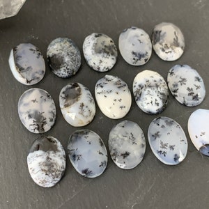 Op de afbeelding: Een verzameling van 15 ovale dendritische agaat cabochons. De cabochons zijn een mix van wit, grijs en zwart met dendritische patronen.