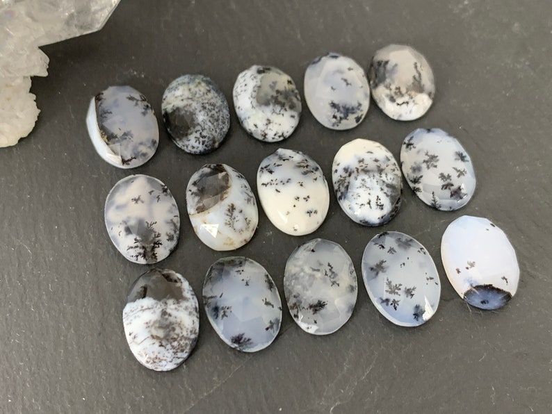Op de afbeelding: Een verzameling van 15 ovale dendritische agaat cabochons. De cabochons zijn een mix van wit, grijs en zwart met dendritische patronen.