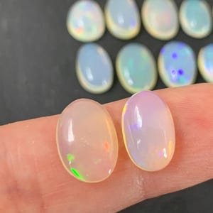 May include: Two oval-shaped, translucent, white opal cabochons with iridescent rainbow flashes. The opals are approximately 10mm in length and 7mm in width.