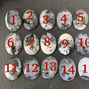 Op de afbeelding: Vijftien ovale dendritische agaat cabochons, genummerd van 1 tot en met 15, met een wit en zwart dendritisch patroon.