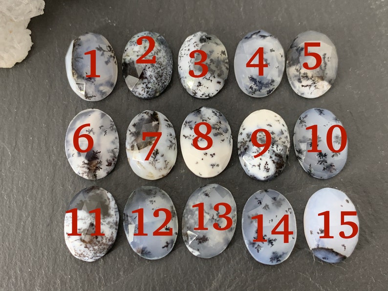 Op de afbeelding: Vijftien ovale dendritische agaat cabochons, genummerd van 1 tot en met 15, met een wit en zwart dendritisch patroon.