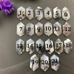 May include: Twenty-one hexagonal cabochons of dendritic agate, numbered 1 through 21. The stones are white with black dendritic patterns.