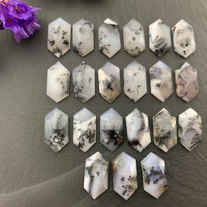 May include: A collection of 18 white and black dendritic agate cabochons, each cut in a hexagonal shape. The stones have a natural, organic pattern of black dendrites on a white background.