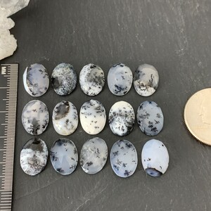 Op de afbeelding: Twaalf ovale dendritische agaat cabochons in tinten van wit en grijs met zwarte dendritische patronen. De cabochons zijn ongeveer 2,5 cm lang en zijn gerangschikt in vier rijen van drie. Een Amerikaanse kwartje is opgenomen ter referentie van de grootte.