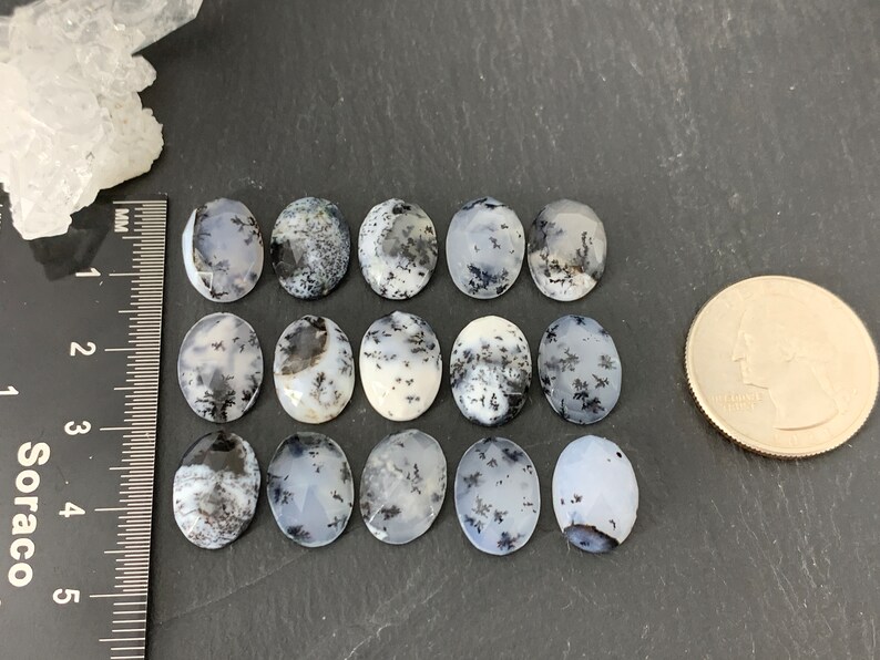 Op de afbeelding: Twaalf ovale dendritische agaat cabochons in tinten van wit en grijs met zwarte dendritische patronen. De cabochons zijn ongeveer 2,5 cm lang en zijn gerangschikt in vier rijen van drie. Een Amerikaanse kwartje is opgenomen ter referentie van de grootte.