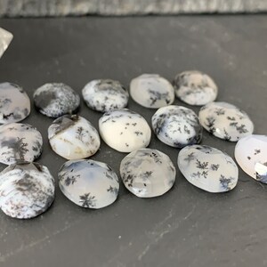 Op de afbeelding: Een verzameling van 15 ovale dendritische agaat cabochons. De cabochons zijn wit met zwarte dendritische patronen.