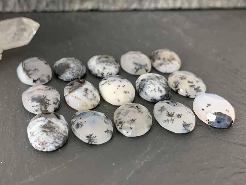 Op de afbeelding: Een verzameling van 15 ovale dendritische agaat cabochons. De cabochons zijn wit met zwarte dendritische patronen.