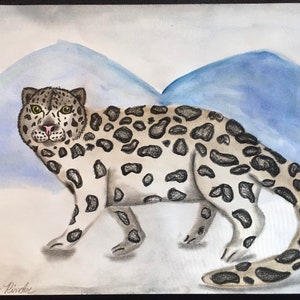 Snow Leopard Drawing, Big Cat Art
