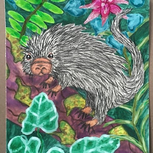 May include: A watercolor painting of a spiky, gray animal with a long tail, surrounded by green and blue foliage. The animal has a pink nose and small, black eyes. The background is a dark green with hints of purple and yellow.