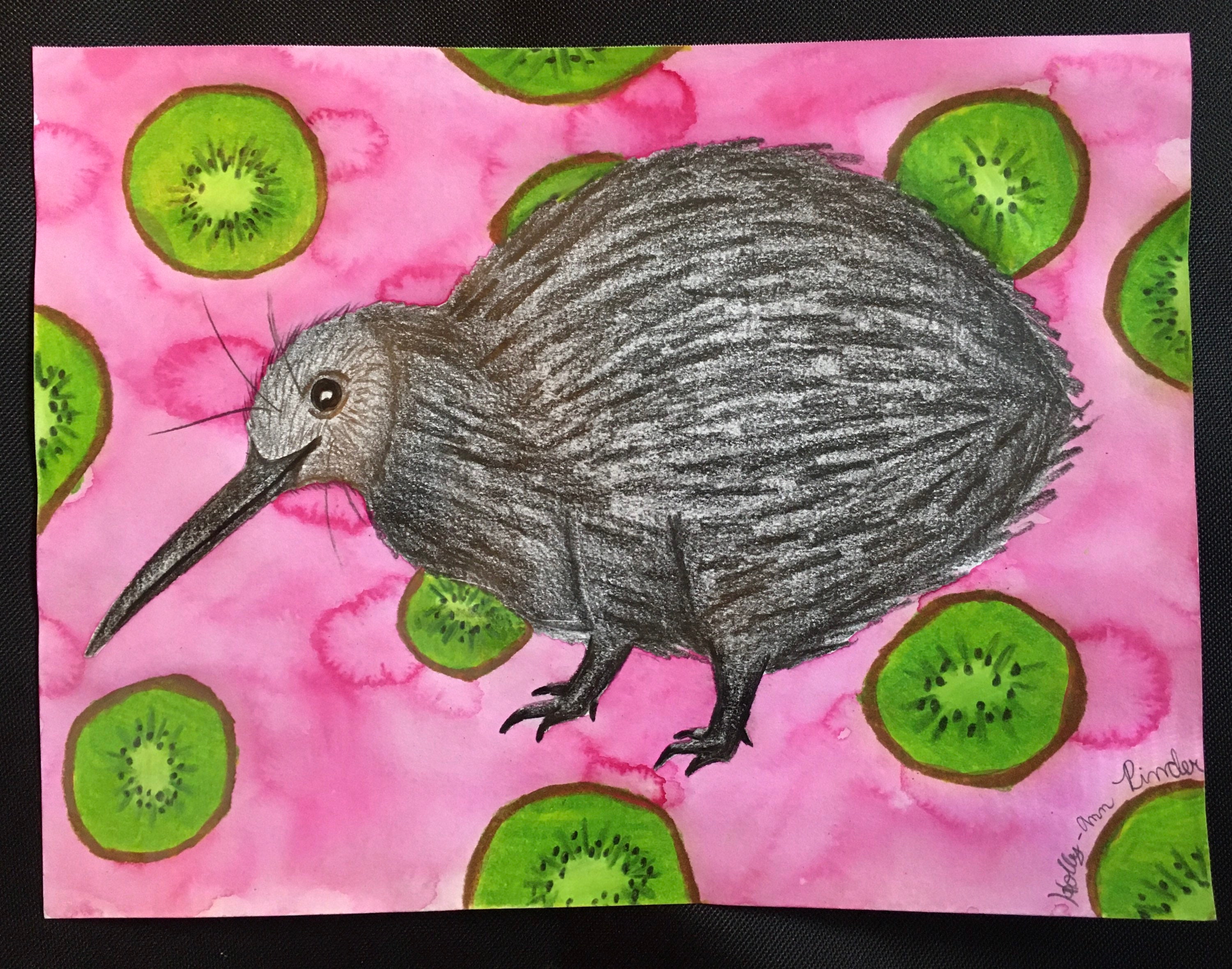 Kiwi Bird Drawing