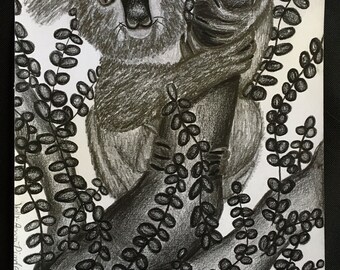 Koala Eucalyptus Tree Drawing