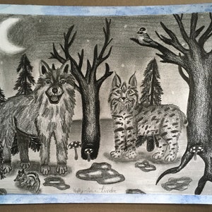 Wolf Bobcat Chipmunk Drawing, Canadian Wildlife Art