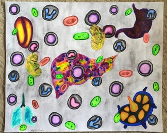 Pintura de hígado y riñón, dibujo de bazo, diagrama de células del sistema inmunitario, arte abstracto de anatomía de órganos