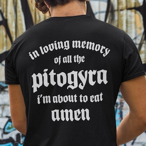 Greek Funny T-shirt - Greece Gyros Shirt - Greek Aesthetic Shirt - Funny Greek Gyros Shirt - Greek Gyros Gift - Unisex Greek Pride T-shirt