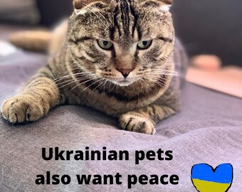 Ukraine shops Ukrainian pets I Stand With Ukraine Ukraine download Pray for Ukraine Digital download Ukraine png Pet bereavement
