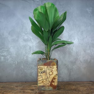 Può includere: Una pianta verde con grandi foglie a forma di ventaglio in una fioriera decorativa quadrata. La fioriera è dipinta con un disegno di volto dorato e marrone. Lo sfondo è un muro grigio e una superficie in legno.