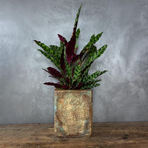 3D Skull Planter, Gothic Decor, Rust Turquoise Gold Finish, Indoor Plant Pot