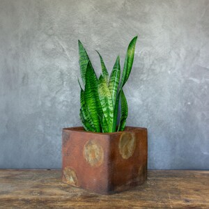 May include: A potted snake plant with long, green and yellow striped leaves. The plant is in a square, brown planter with circular, lighter-colored accents. The background is a gray, textured wall, and the plant sits on a wooden surface.