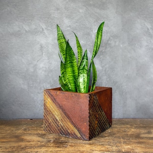 Op de afbeelding: Een slangplant in een vierkante, roestkleurige pot. De plant heeft lange, groen en geel gestreepte bladeren. De pot heeft diagonale, getextureerde lijnen en staat op een houten oppervlak tegen een grijze, getextureerde muur.