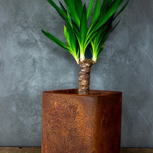 Maceta de calavera marrón: decoración industrial de interior hecha a mano