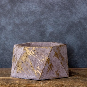 Fioriera esagonale in cemento fatta a mano con finitura dorata – vaso per piante grasse da interno