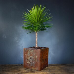 Handmade Sugar Skull Plant Pot, Industrial Rust Texture, Gothic Decor (30cm)