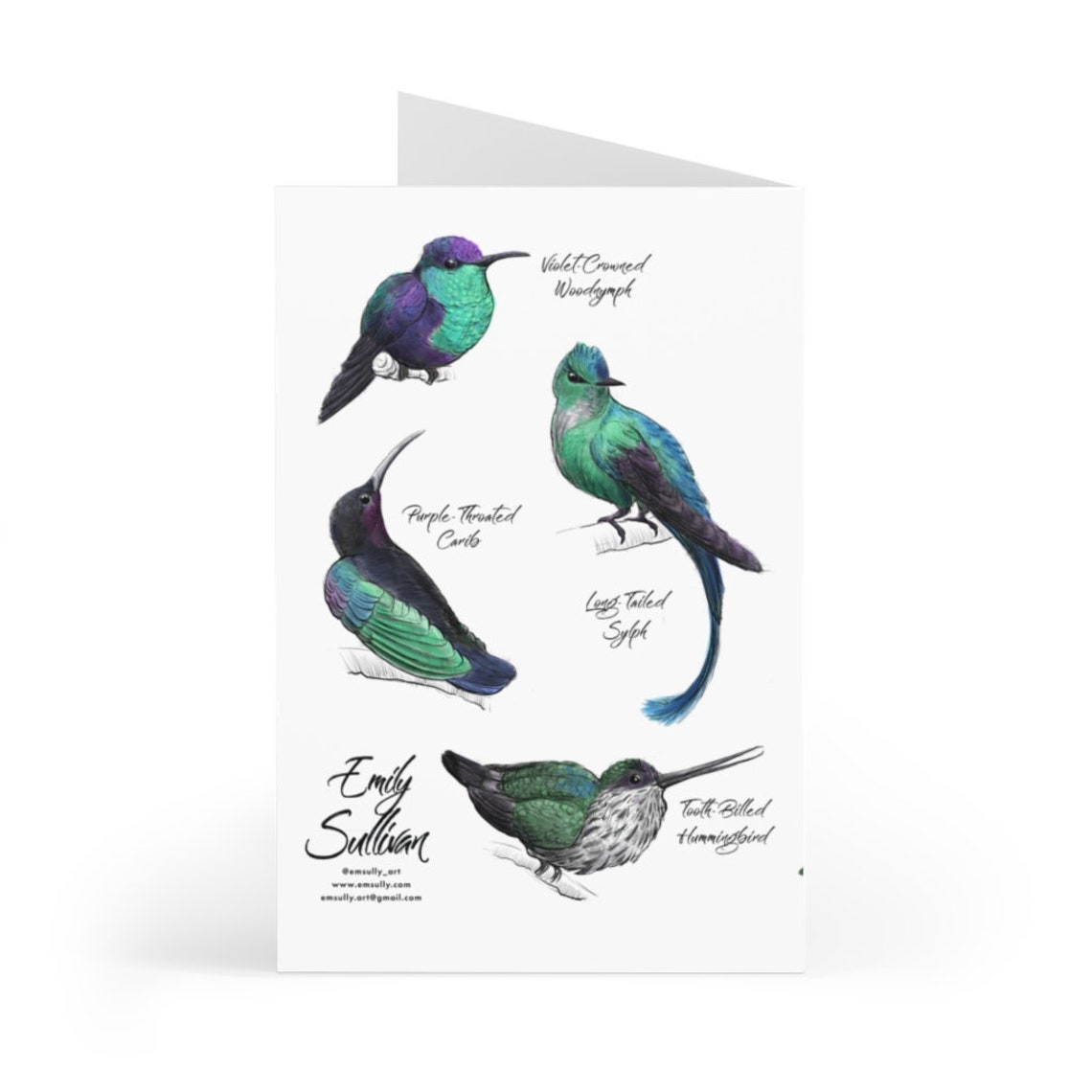 Hummingbirds Greeting Cards 7 pcs Etsy