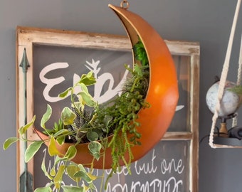 May include: A hanging planter shaped like a crescent moon, painted in a bright orange color. The planter is filled with a variety of green plants, including succulents and ferns. The planter is hanging from a chain against a gray wall.