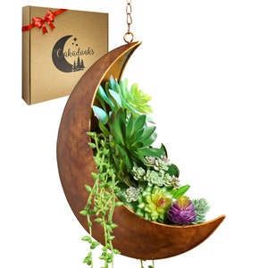 OFERTA DE MANCHAS DE PINTURA Colección de Macetas Luna: Decoración Celestial para Suculentas, Plantas Aéreas, Flores Artificiales y Más - Macetas de Metal Rústicas Boho