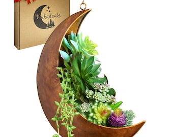 PAINT BLEMISH SALE Moon Planter Collection – Celestial Decor for Succulents, Air Plants, Faux Flowers & More – Boho Rustic Metal Planters
