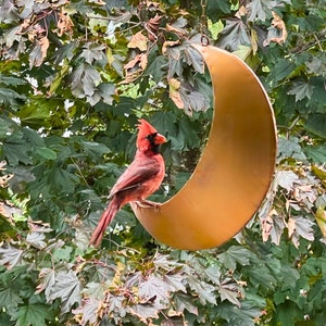 K&ouml;nnte beinhalten: Ein roter Kardinal sitzt auf einem goldenen, sichelf&ouml;rmigen Vogelh&auml;uschen, das an einem Ast h&auml;ngt.