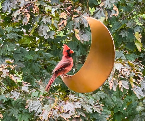 Moon Bird Feeder for Outdoors – Hanging and Fence-Mounted & Squirrel Feeders, Garden Decor, Celestial Gift for Bird Lovers, Metal Feeder