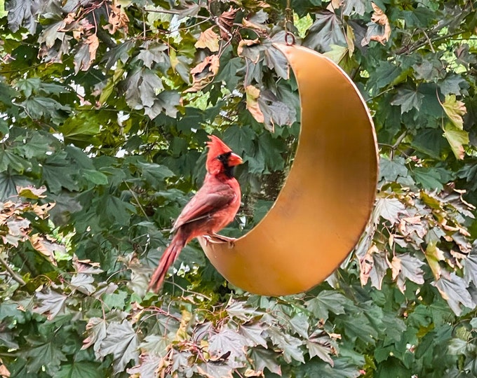 Moon Bird Feeder for Outdoors – Hanging and Fence-Mounted & Squirrel Feeders, Garden Decor, Celestial Gift for Bird Lovers, Metal Feeder
