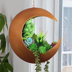 Könnte beinhalten: Ein goldfarbener, halbmondförmiger Pflanzentopf aus Metall mit verschiedenen grünen Sukkulenten und hängenden Pflanzen, die vom Boden herabhängen.