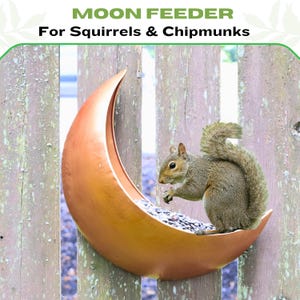 Mond Vogelhäuschen für Draußen - Hängendes und am Zaun montiertes Futterhaus, Eichhörnchenfutterhaus, Gartendekoration, himmlisches Geschenk für Vogelliebhaber, Metallfutterhaus Bild 15