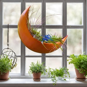 Wall Planter - Window Planter - Hanging Moon Planter –Great for Succulents, Air Plant, Faux,Plants -Gifts for Women, Birthdays, Plant Lovers