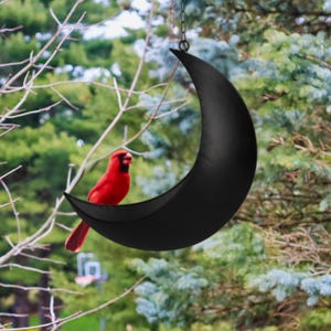 K&ouml;nnte beinhalten: Ein schwarzer, halbmondf&ouml;rmiger Vogel futterspender aus Metall, der an einem Ast h&auml;ngt. Ein roter Kardinal sitzt auf dem Futterspender.