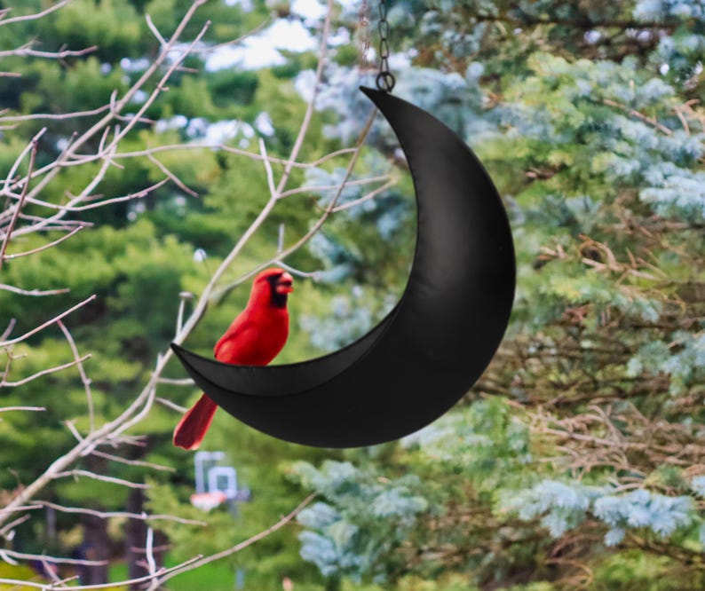 K&ouml;nnte beinhalten: Ein schwarzer, halbmondf&ouml;rmiger Vogel futterspender aus Metall, der an einem Ast h&auml;ngt. Ein roter Kardinal sitzt auf dem Futterspender.