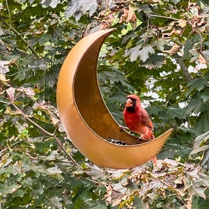 K&ouml;nnte beinhalten: Ein roter Kardinal sitzt auf einem halbmondf&ouml;rmigen Vogelh&auml;uschen aus Metall. Das H&auml;uschen h&auml;ngt an einem Ast.