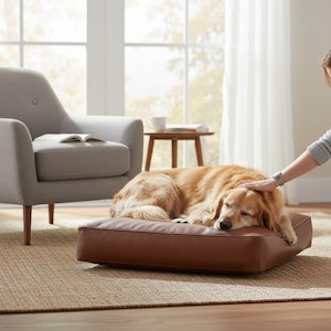 May include: A golden retriever dog lying on a brown leather dog bed. The dog bed is square and placed on a woven rug. A person's hand is stroking the dog's head. A grey armchair and small table are in the background.