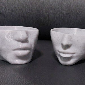 Head face pots, face planter, head pot, planters