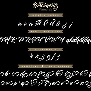 The Speciment Handlettering Script Font image 8