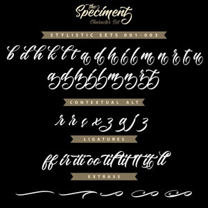 The Speciment Handlettering Script Font image 9