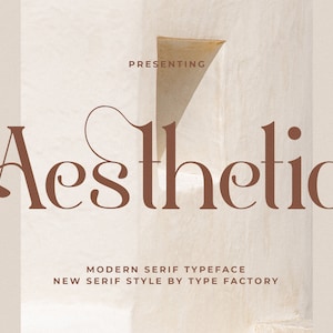 Aesthetic Modern Serif Font - Etsy